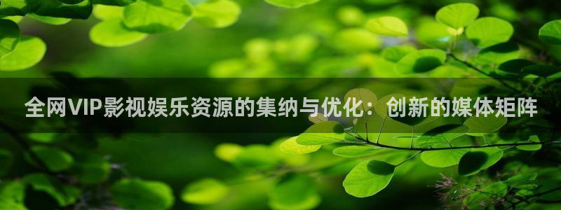 桔子tv版：全网VIP影视娱乐资源的集纳与优化：创新的媒体矩阵