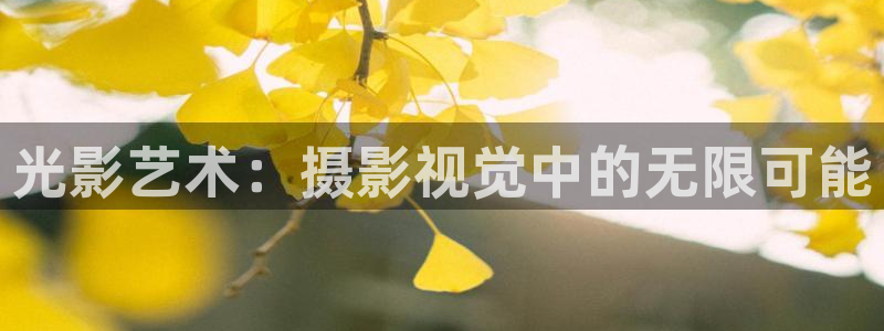 www.桔子视频：光影艺术：摄影视觉中的无限可能