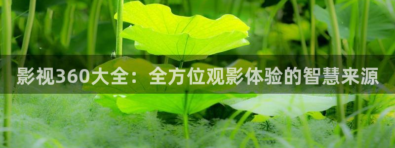 桔子视频电视剧高清资源：影视360大全：全方位观影体验的智慧来源