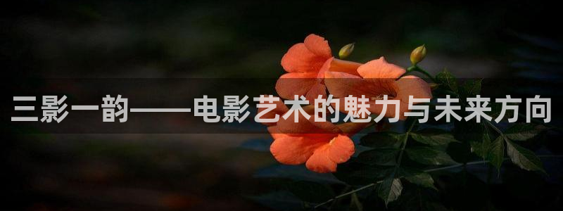 桔子免费在线视频：三影一韵——电影艺术的魅力与未来方向