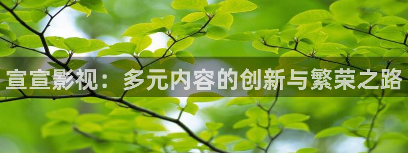 桔子免费影视：宣宣影视：多元内容的创新与繁荣之路
